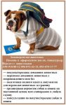 Авиаперевозка животных. Помощь в оформлении док-ов. Авиакурь Авиаперевозка животных. Помощь в оформлении док-ов. Авиакурь