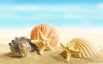 Отдых на море 9 дней / 8 ночей Отдых на море 9 дней / 8 ночей