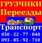 Квартирні переїзди . Вантажоперевезення . Послуги вантажників . - фото 1