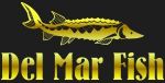 Продажа малька Бестера - фото 0