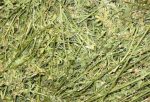 Продам луговое сено в тюках, люцерну. Бесплатная доставка по - фото 0