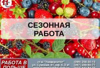 Вакансии для рабочих на сезонные работы в Польше - фото 1