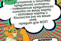 Улучшение кредитной истории и повышение кредитного лимита - фото 0