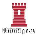 Регистрация Общественной организации. - фото 1