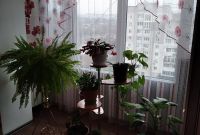 Продам стики Terea (испания) от 5 блоков - фото 5