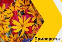 Приворожить Любимого Киев. Приворот на девушку Киев. Устранить разлучницу - фото 2