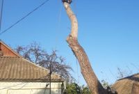 Спил дерев будь-якої складності.Києві та Київській області. - фото 7