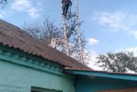 Обрізка, видалення та спил дерев Київ - фото 3