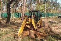 Спил дерев на ділянці та дачі  Києві та Київській області - фото 3