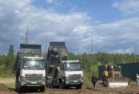 Спил дерев.Обрізка дерев.Розчистка ділянки.Спил аварійних дерев . - фото 1
