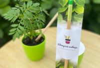 Корпоративні подарунки для агентств нерухомості - фото 2