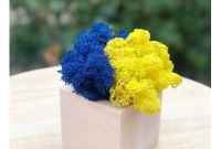 Промо-сувеніри. Кашпо зі стабілізованим мохом - фото 0