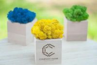 Промо-сувеніри. Кашпо зі стабілізованим мохом - фото 1