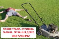 Покіс трави: Київ, Київська область та Біла Церква. Швидко, якісно, доступно! - фото 1