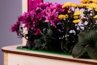 EcoBloom Smart Garden Розумний сад вдома - фото 2