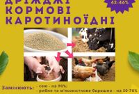Кормові дріжджі – білково-вітамінна добавка від виробника по Україні та на експорт. - фото 0