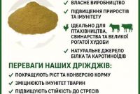 Кормові дріжджі – білково-вітамінна добавка від виробника по Україні та на експорт. - фото 1