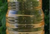 Біодизель, biodisel - фото 1