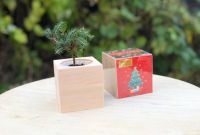 Подарунки на Миколая. Новорічні набори. DIY набори - фото 0