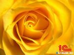 Продажа и внедрение 1С Бухгалтерия 8 под ключ с гарантией +Б - фото 1