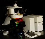 Микроскопы, микроскопы, microscopes - фото 2