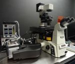 Микроскопы, микроскопы, microscopes - фото 0