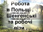 Польское Агентство Труда набирает на работу в Польшу бідівельни - фото 1